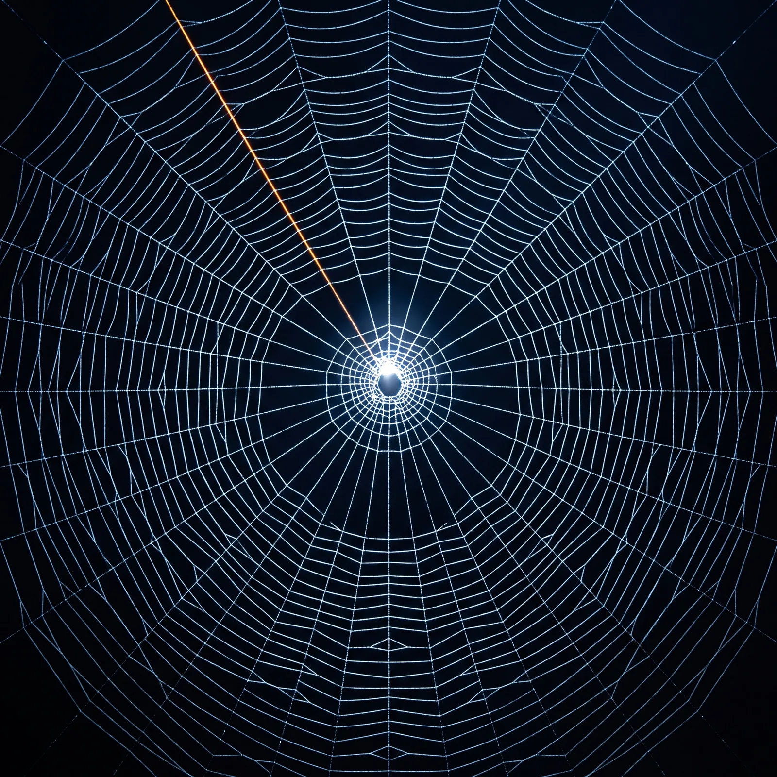 The engineer at rest at the hub of the completed web.